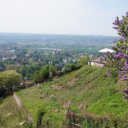 Ferienwohnung Toscana เดรสเดน ภายนอก รูปภาพ