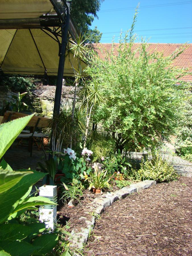 Ferienwohnung Toscana เดรสเดน ภายนอก รูปภาพ