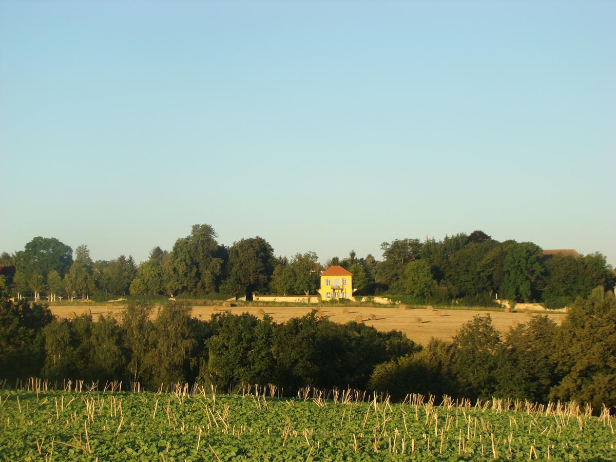 Ferienwohnung Toscana เดรสเดน ภายนอก รูปภาพ